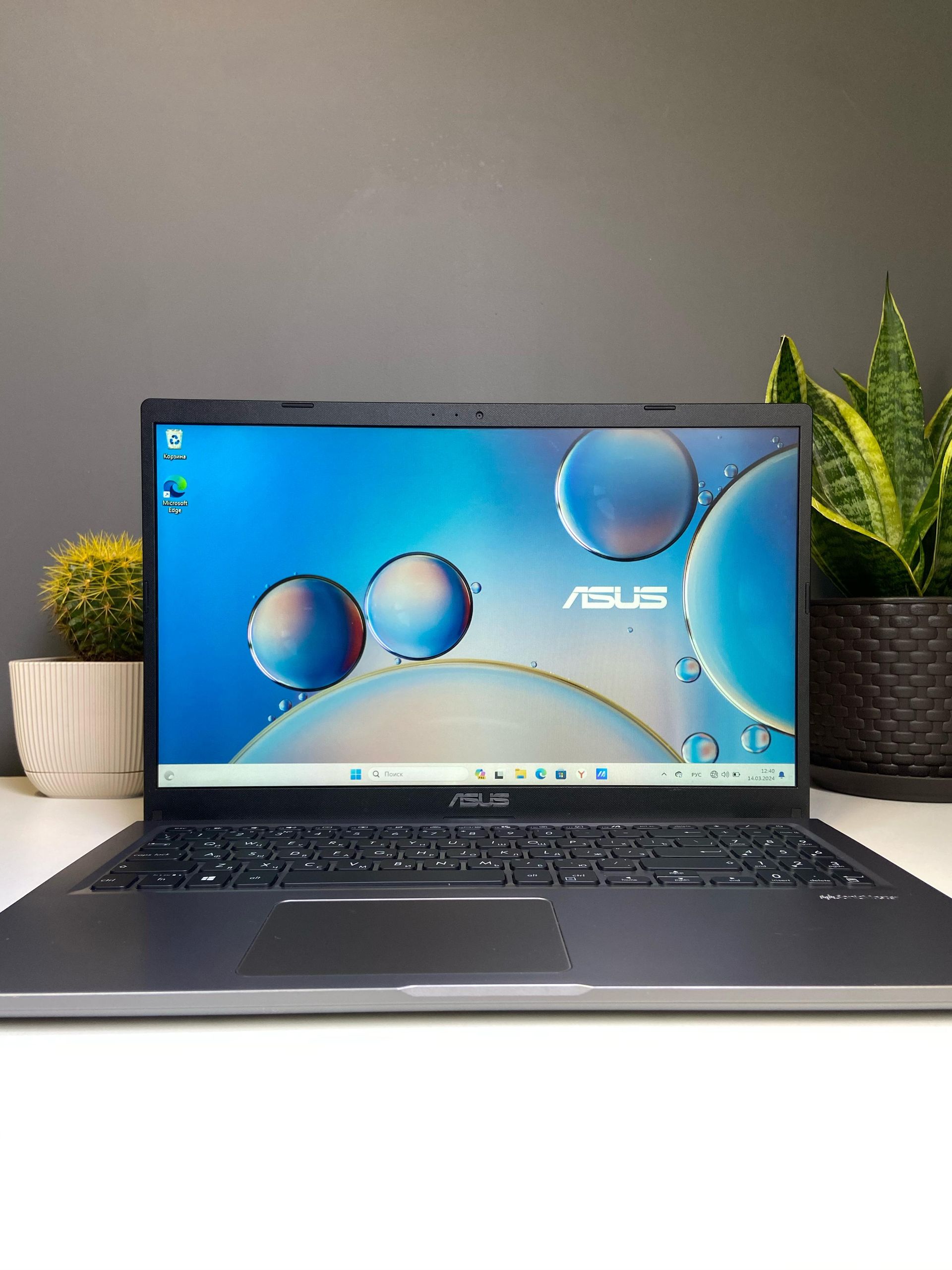 Asus - фото_2