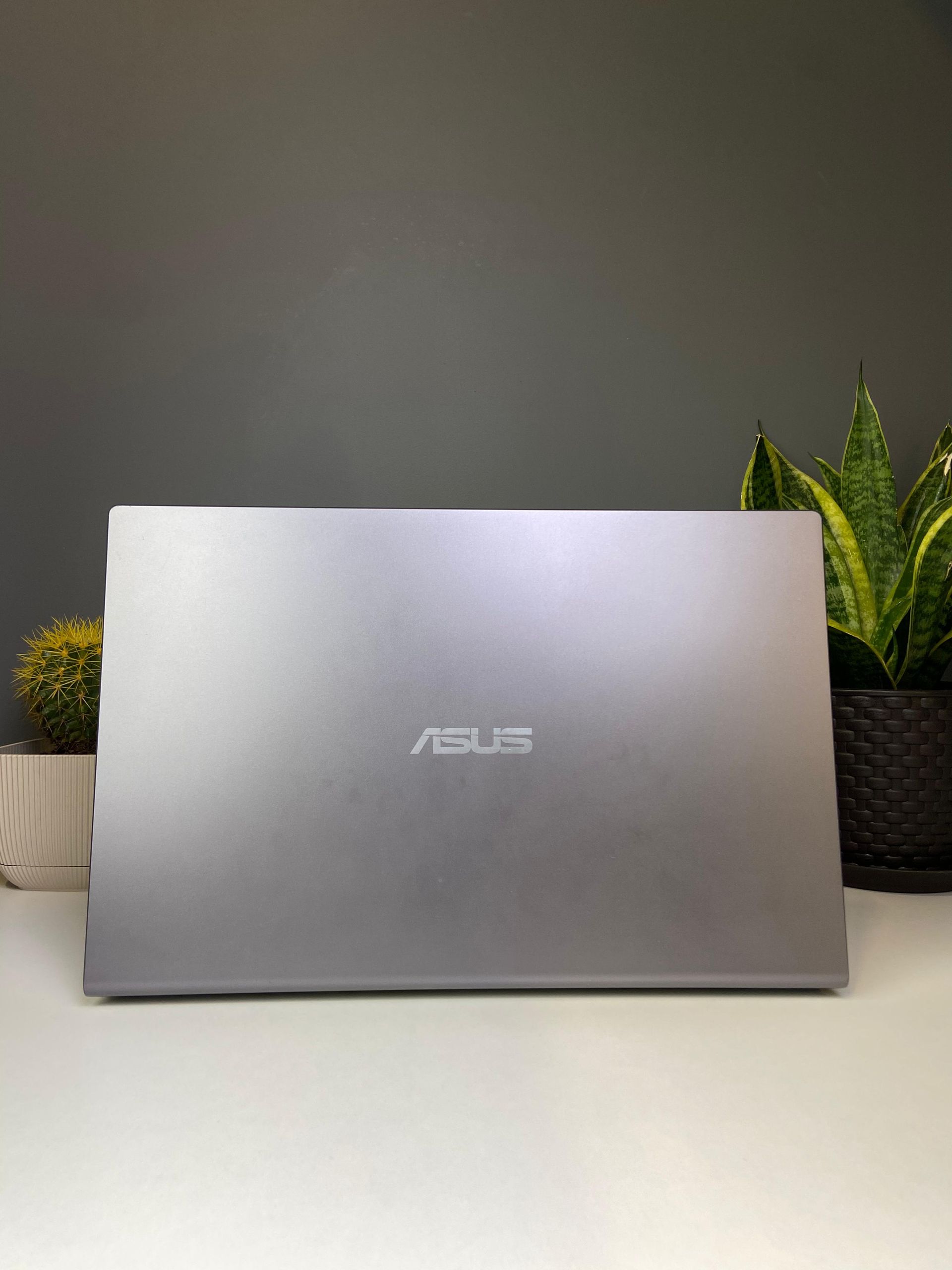 Asus - фото_1